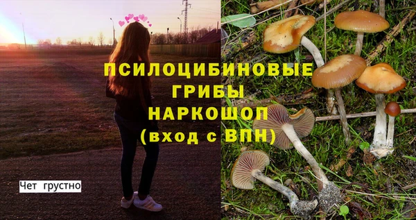 MESCALINE Алзамай